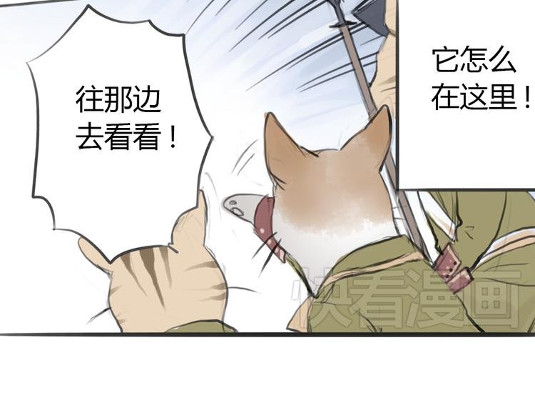 第3话 这些不是我想要的！