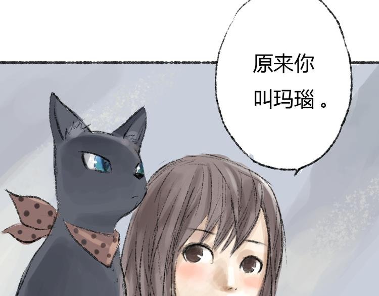 第2话 神奇的猫咪王国