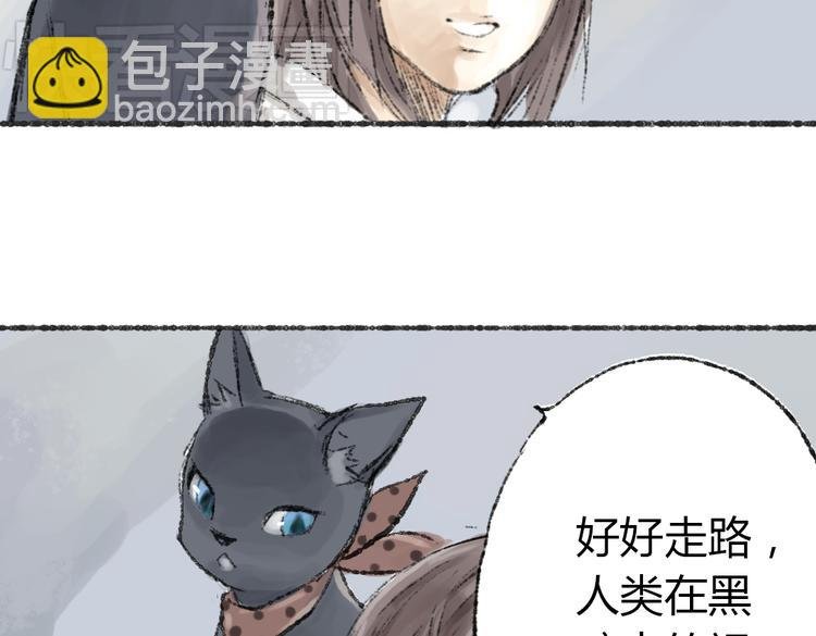 第2话 神奇的猫咪王国