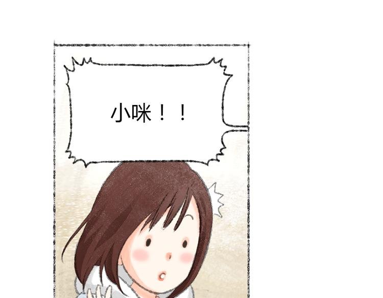 第1话 与猫咪的偶遇