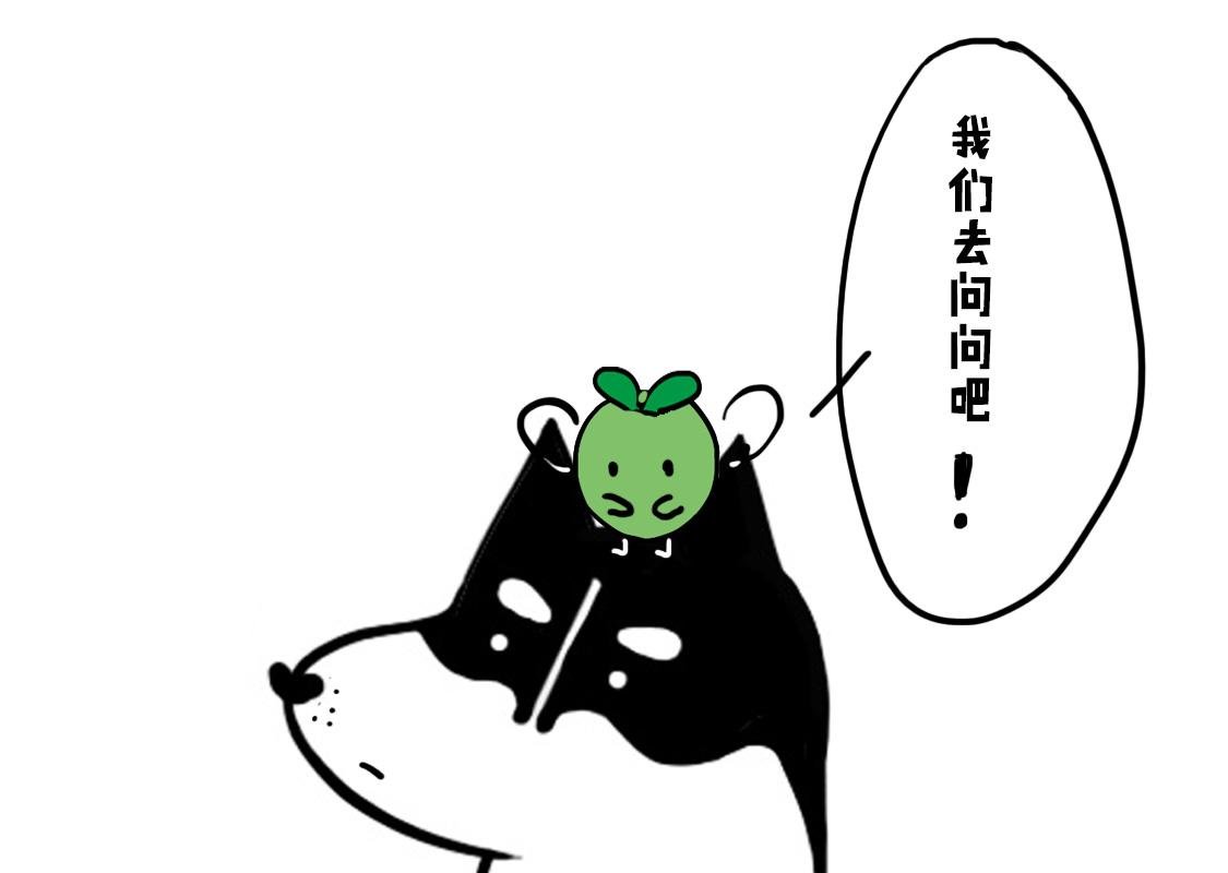 04：雾霾危机笼罩全城