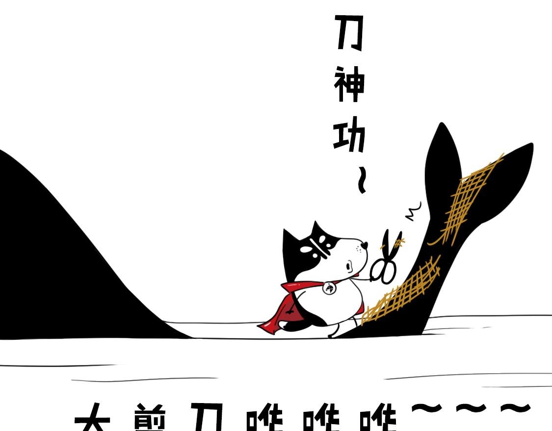02：当当智救鲸鱼