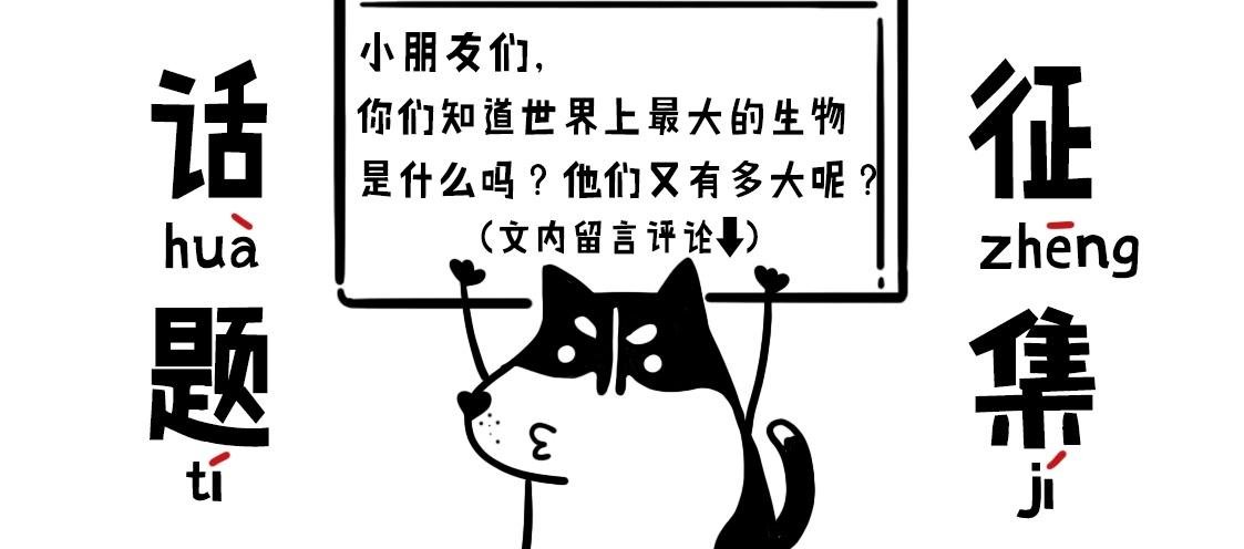 02：当当智救鲸鱼
