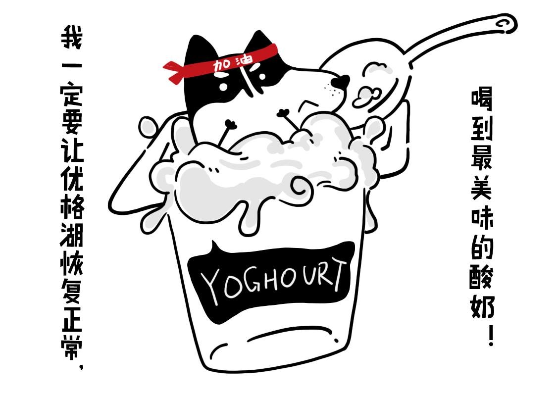 01：神犬当当闪亮登场