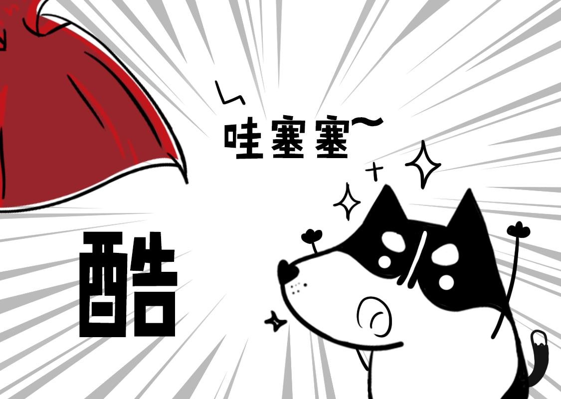 01：神犬当当闪亮登场