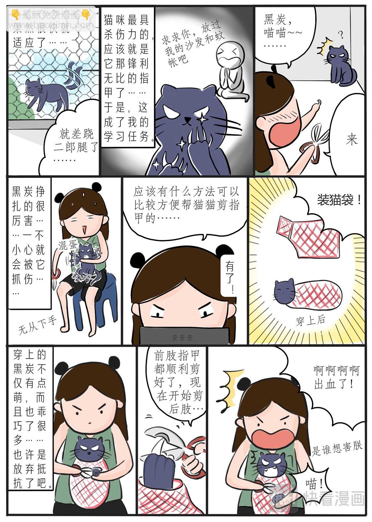 第一章：一个人的蜗居