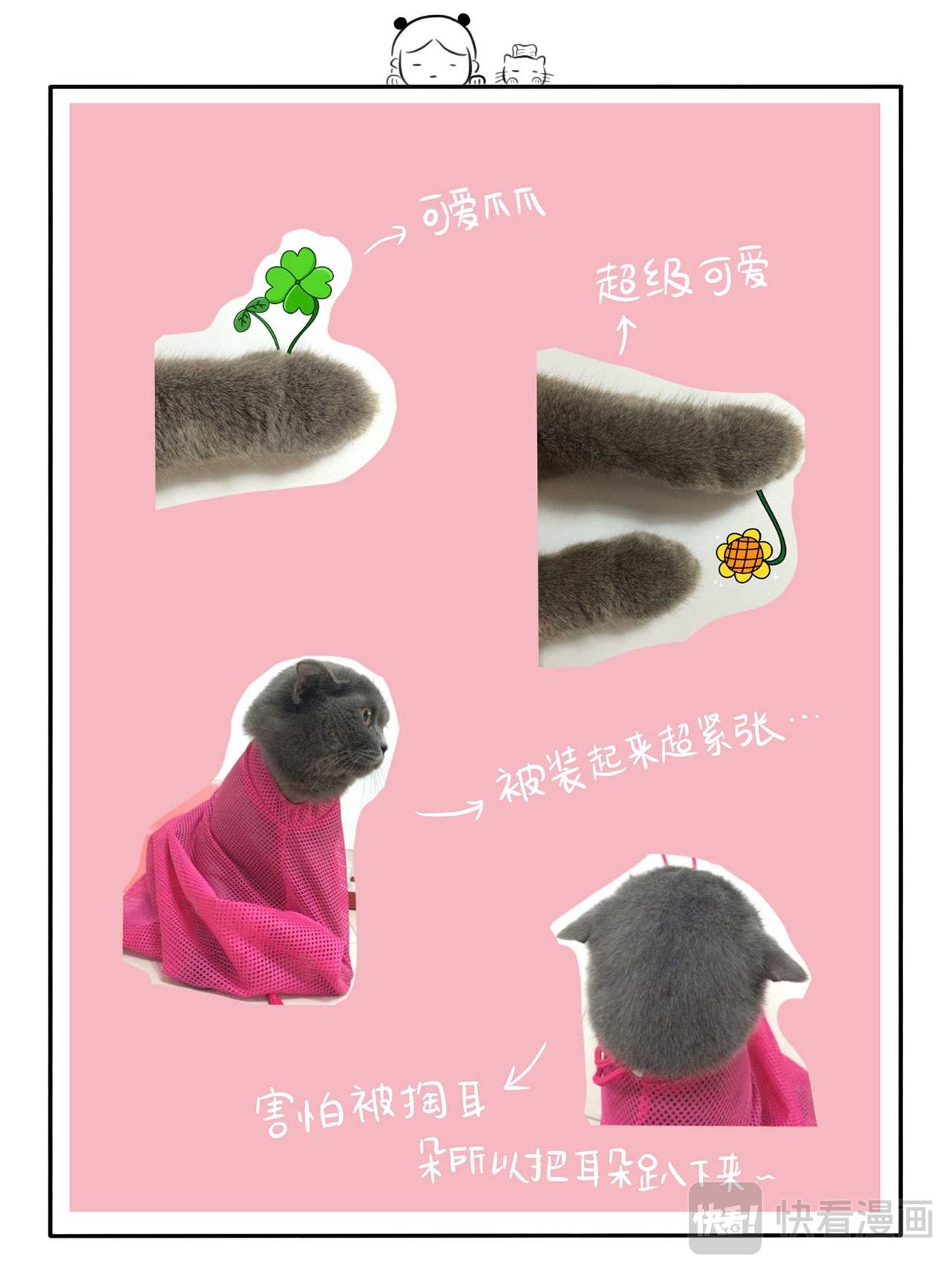 第一章：一个人的蜗居