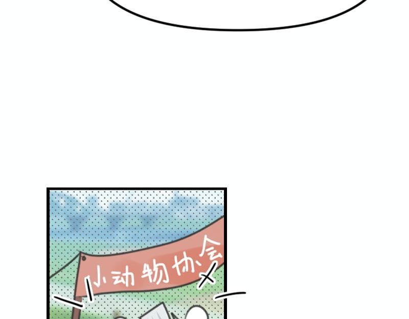 第一章 进入