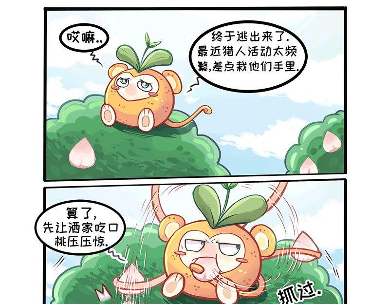 抓不住的橙天猴