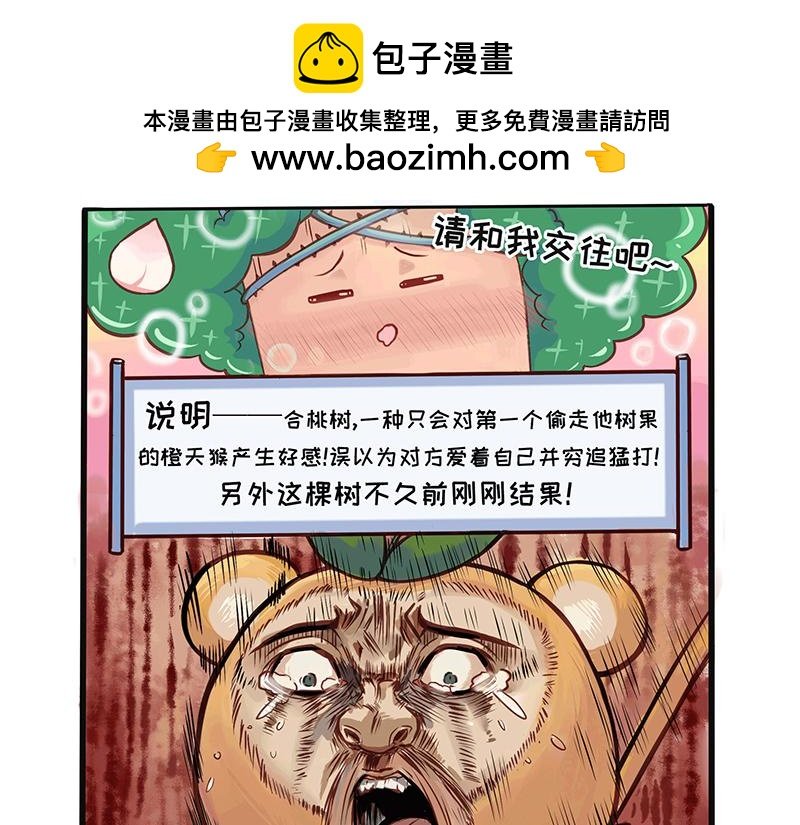 抓不住的橙天猴
