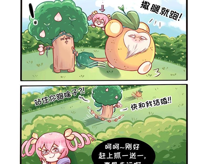 抓不住的橙天猴