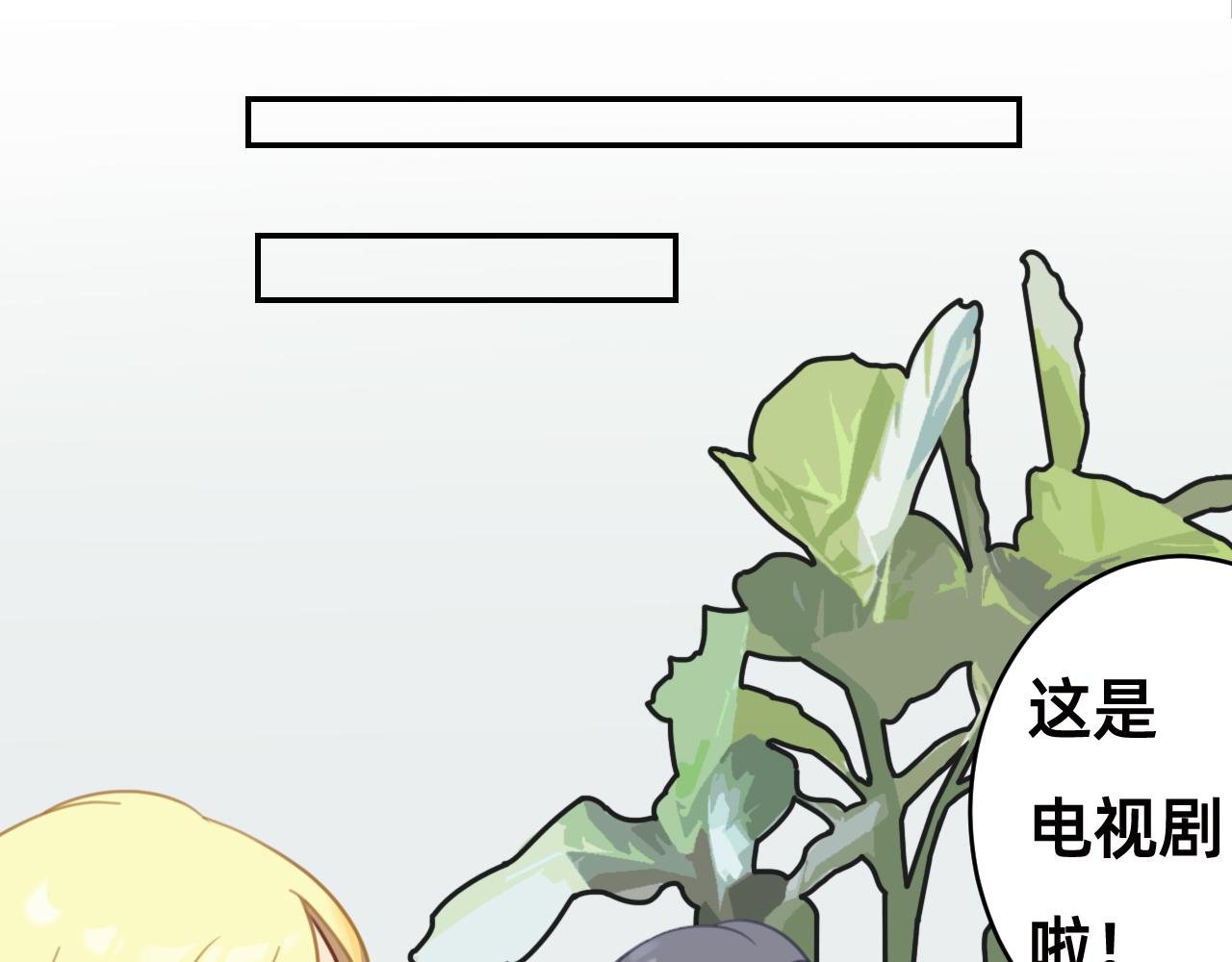 非常规训练之言情买瓜