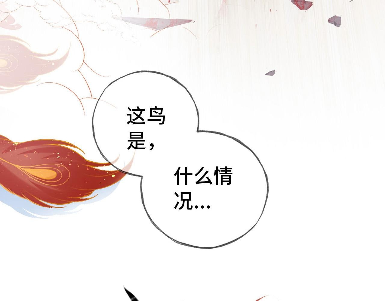凤凰（上）
