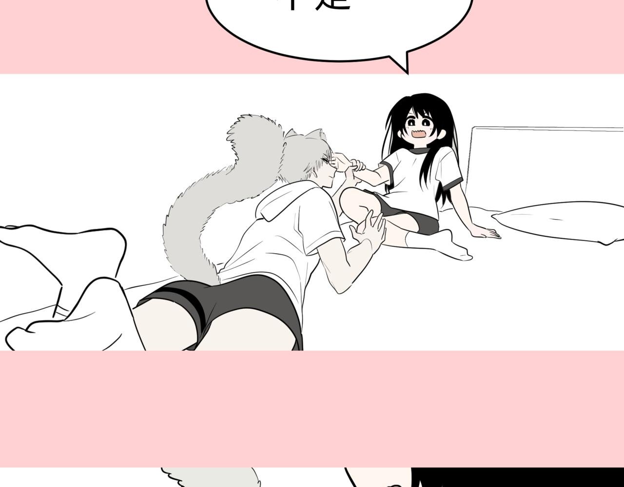 猫猫猫星