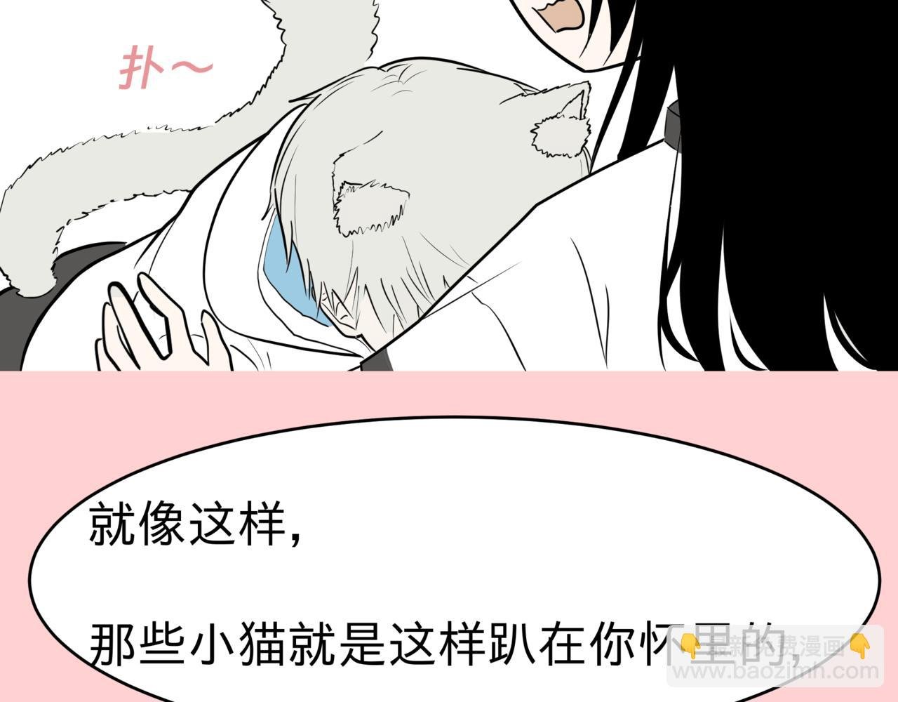 猫猫猫星