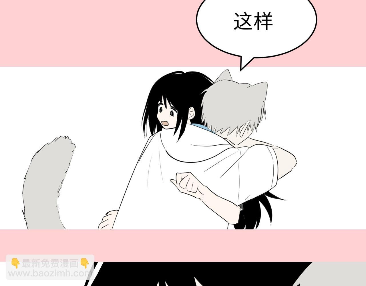 猫猫猫星