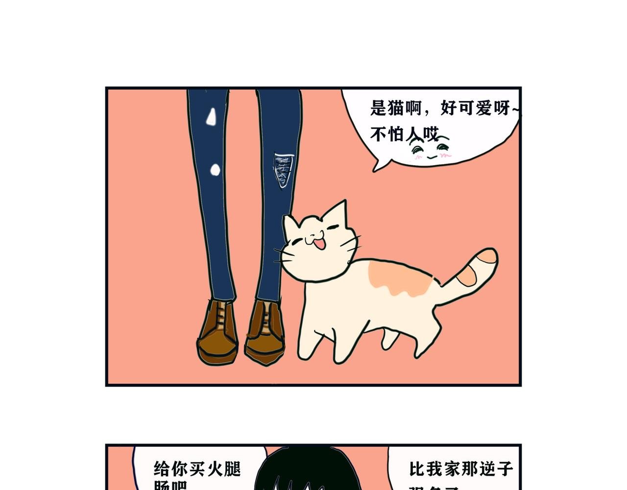 疫情和猫咪