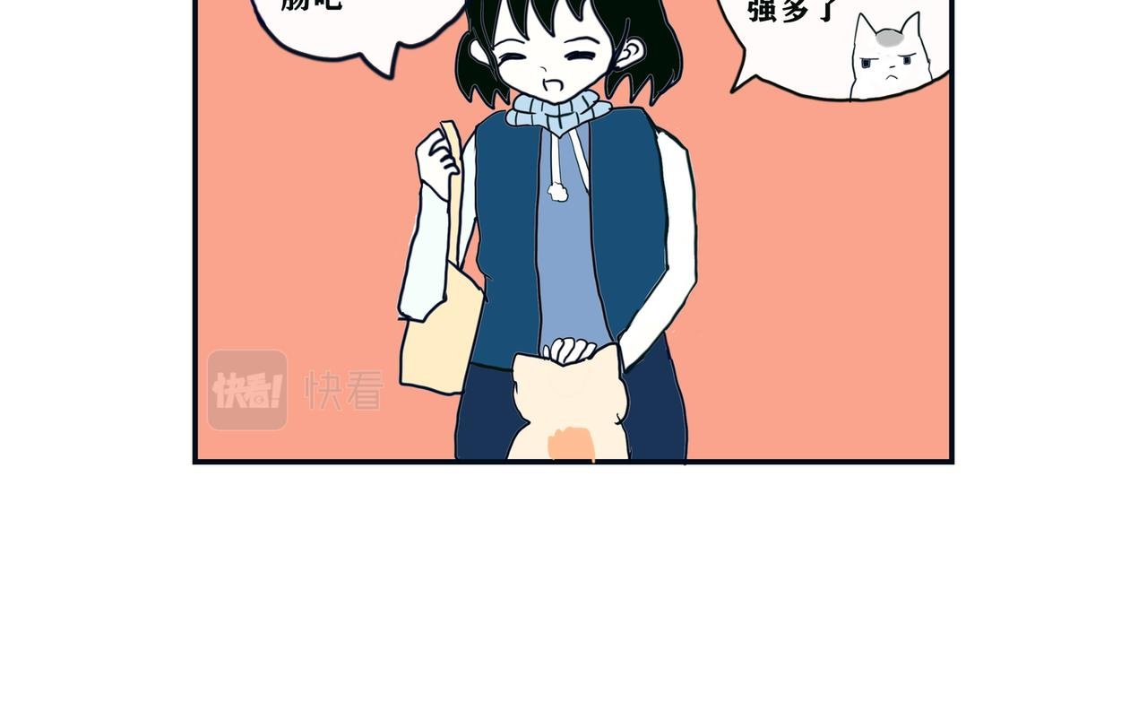 疫情和猫咪