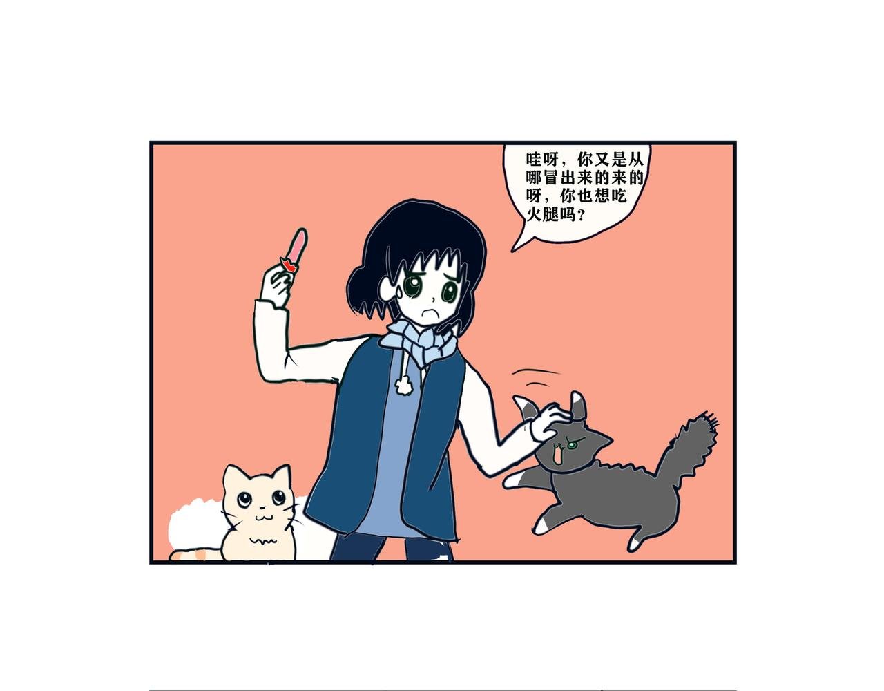 疫情和猫咪
