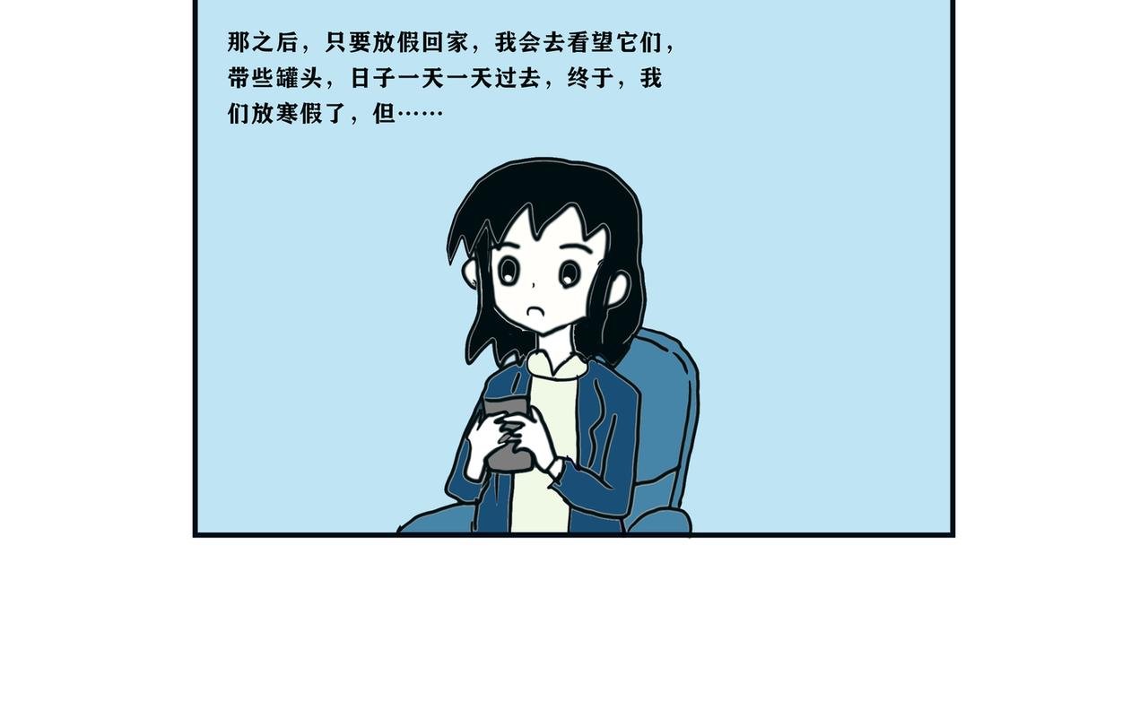 疫情和猫咪