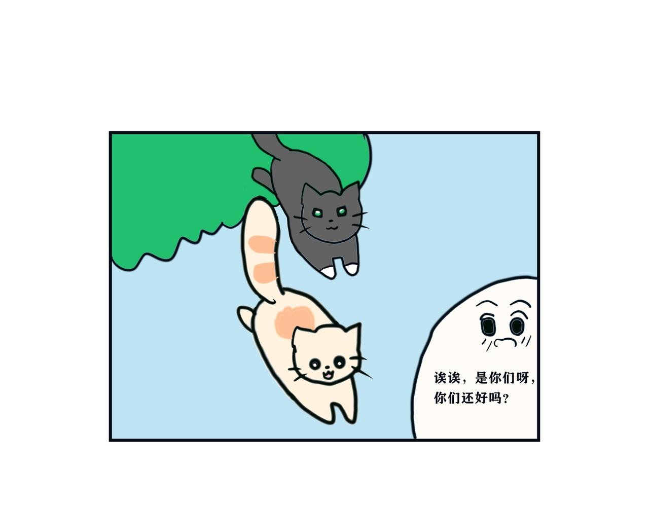 疫情和猫咪