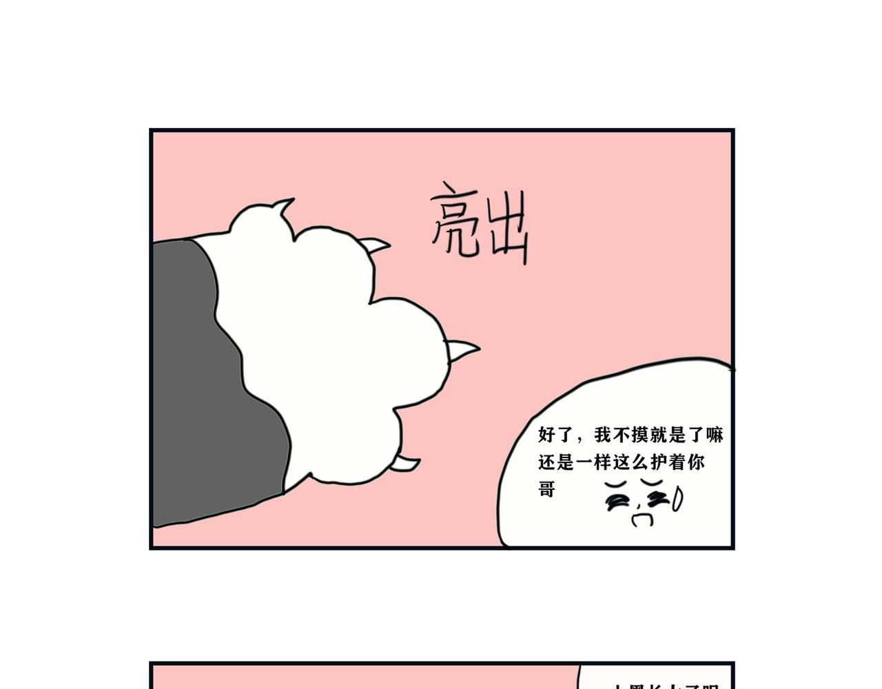 疫情和猫咪