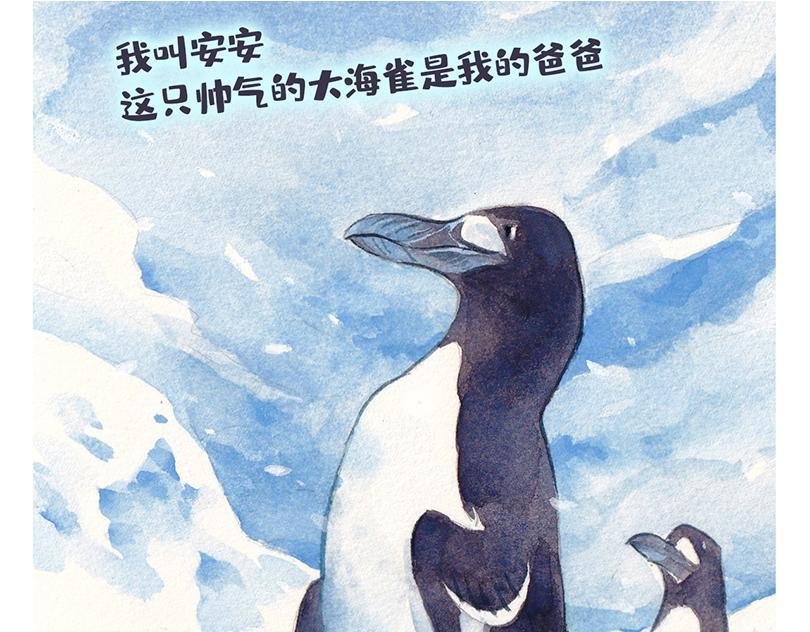 北极“企鹅”的故事