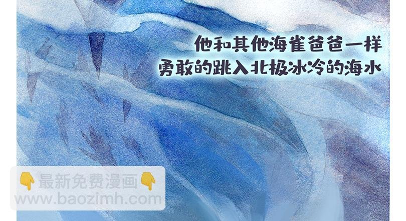 北极“企鹅”的故事
