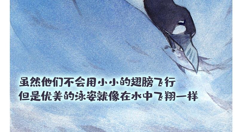 北极“企鹅”的故事