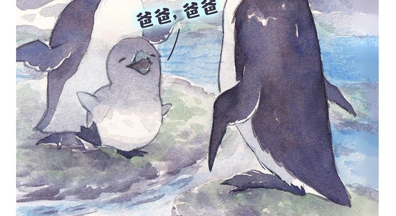 北极“企鹅”的故事