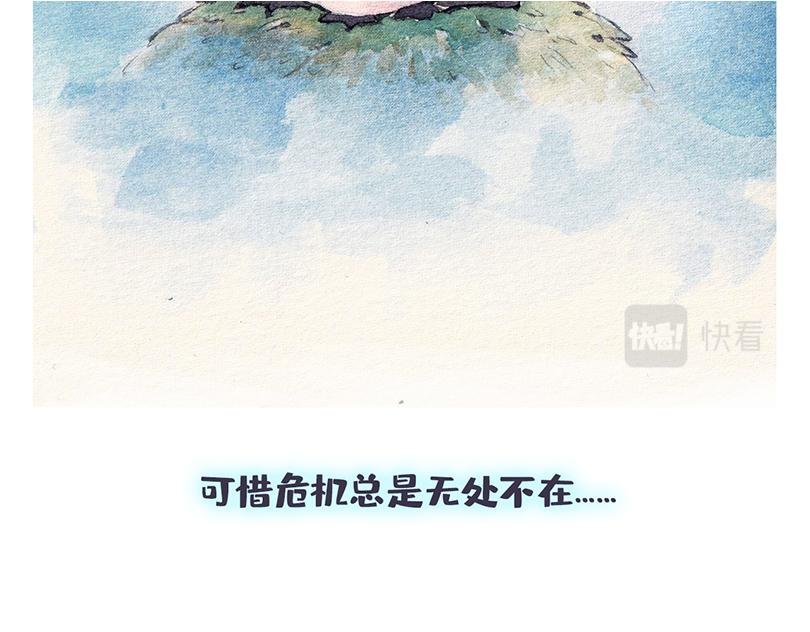 北极“企鹅”的故事