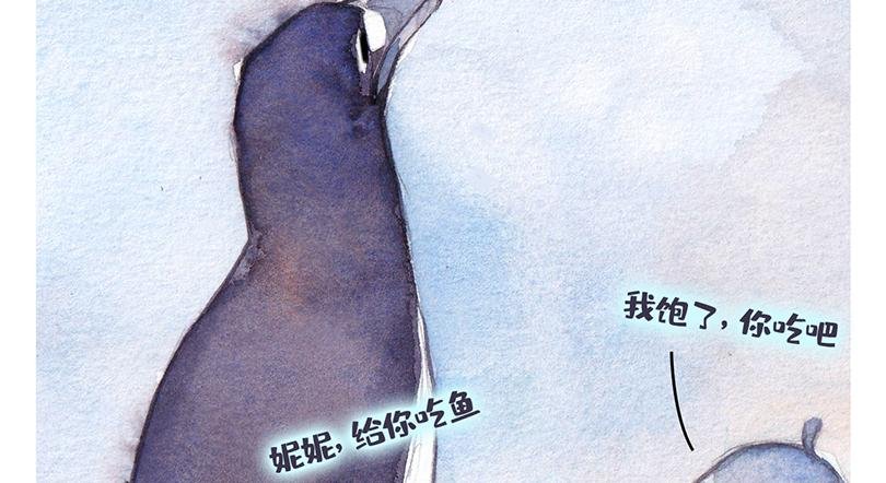 北极“企鹅”的故事