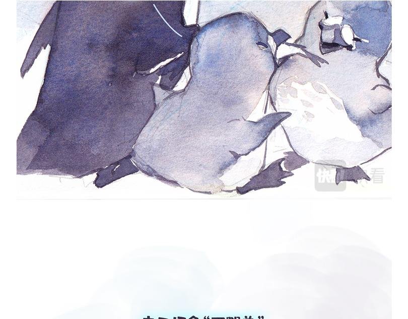 北极“企鹅”的故事