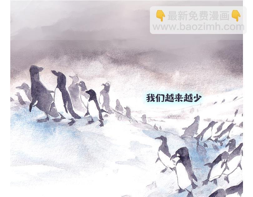 北极“企鹅”的故事