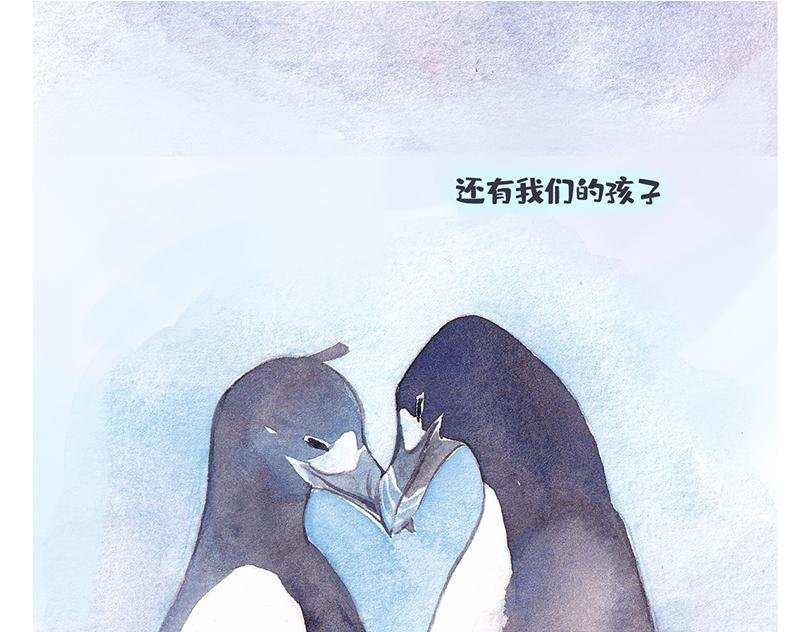 北极“企鹅”的故事