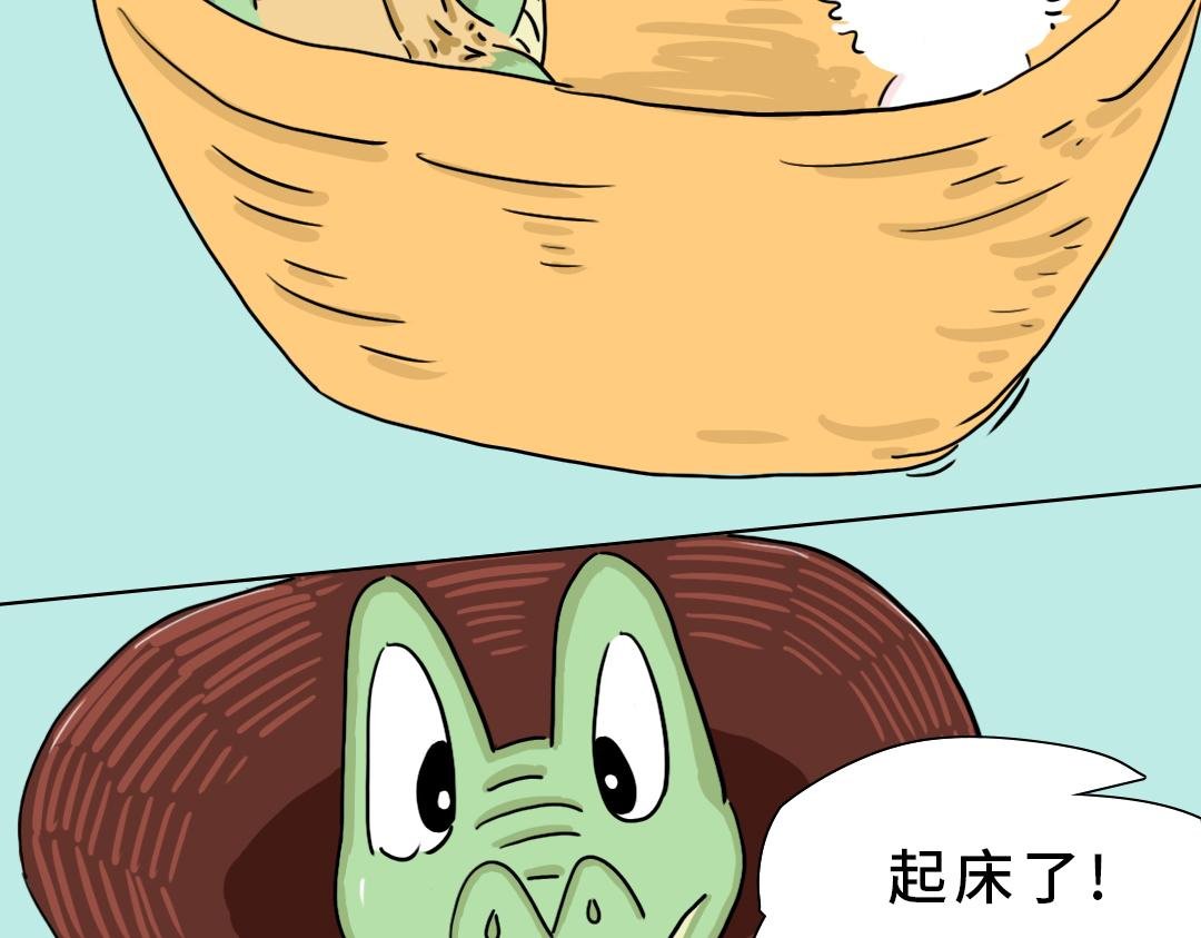 真正的开始