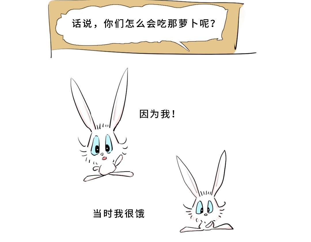 真正的开始