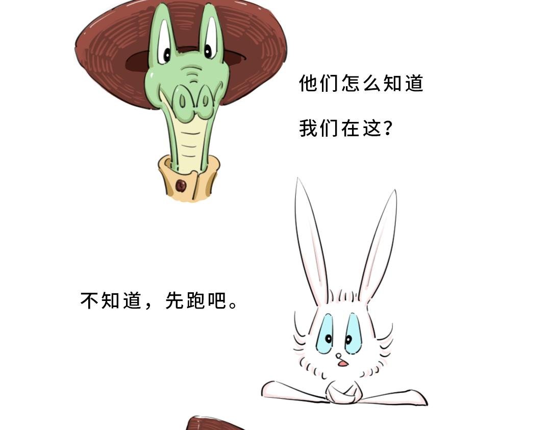 真正的开始