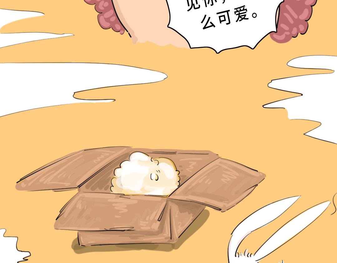 第一封信（3）