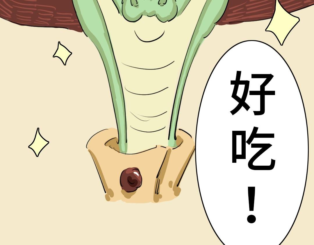 第一封信 （3）