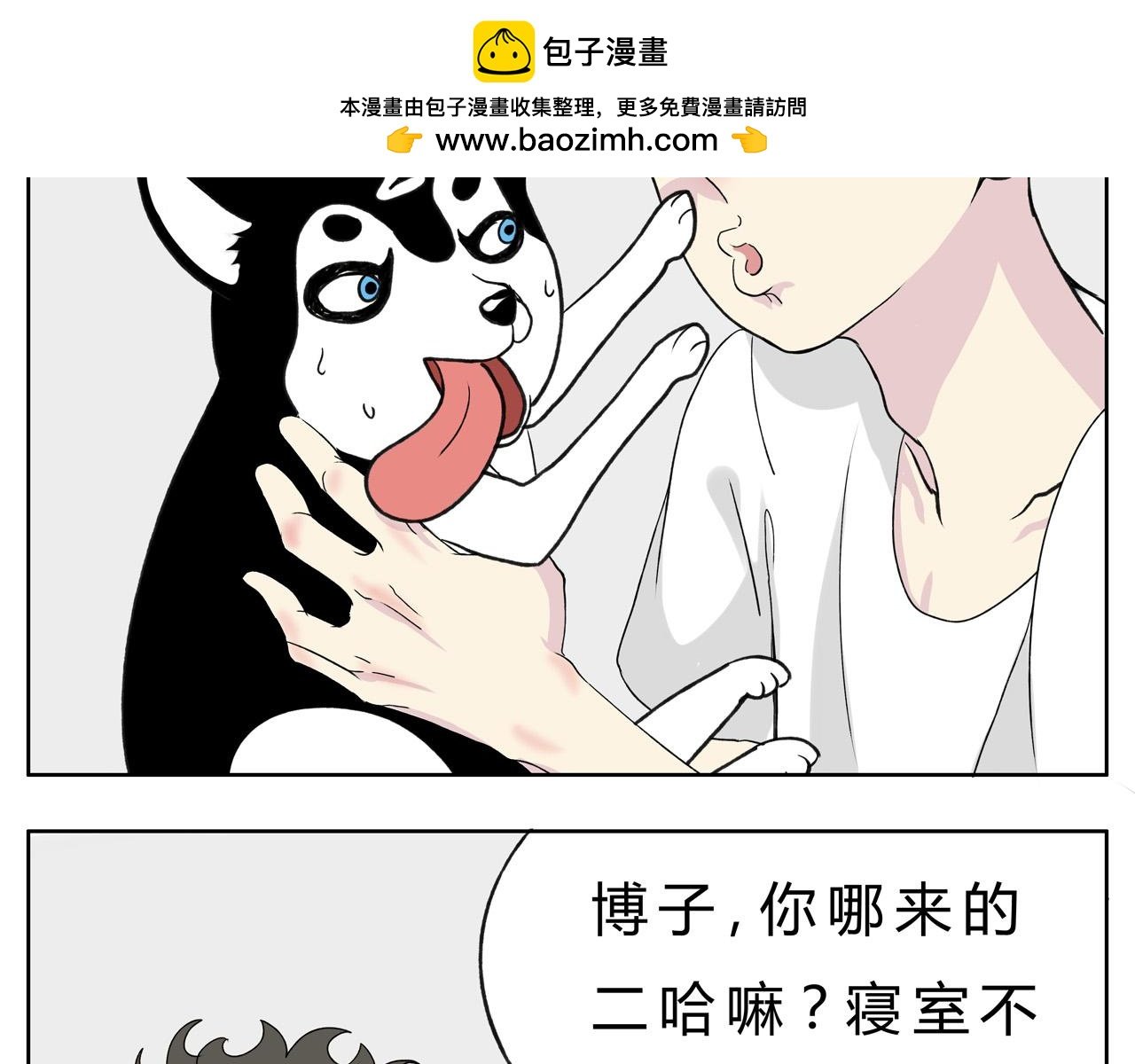 护狗大作战