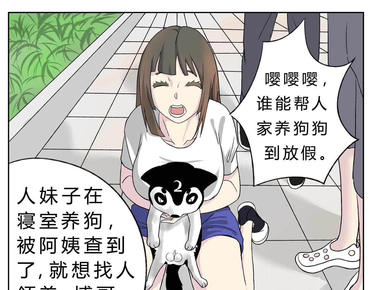 护狗大作战