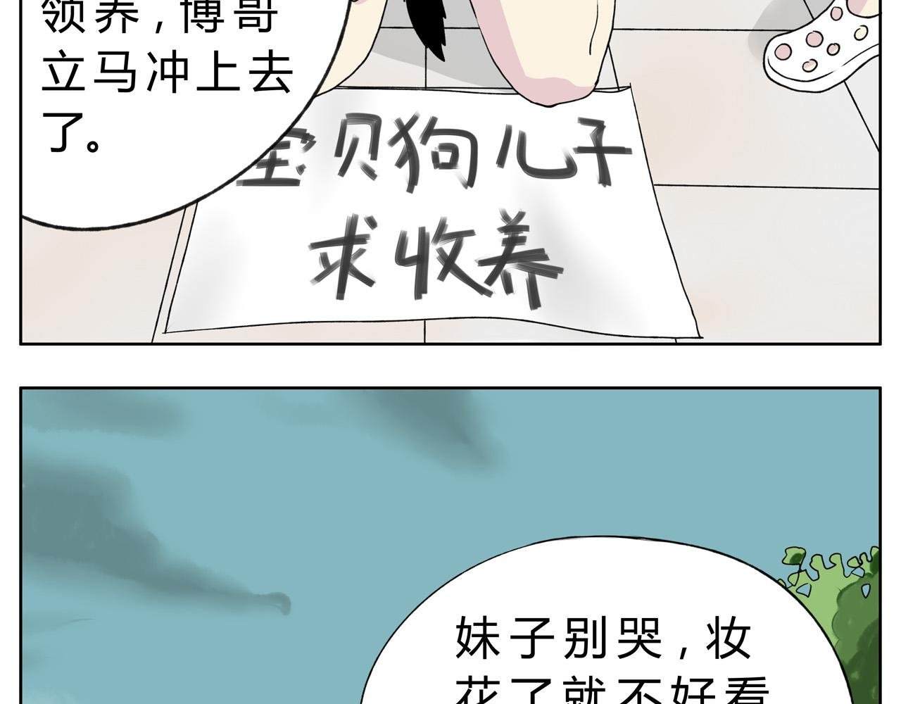 护狗大作战