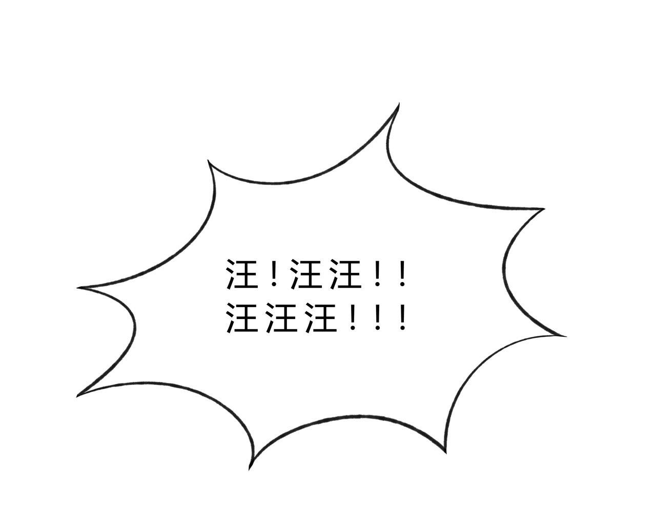 护狗大作战