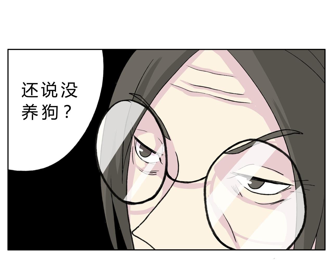 护狗大作战