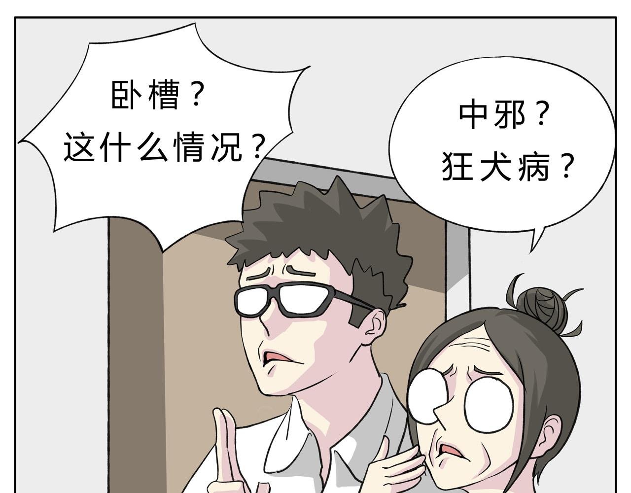 护狗大作战