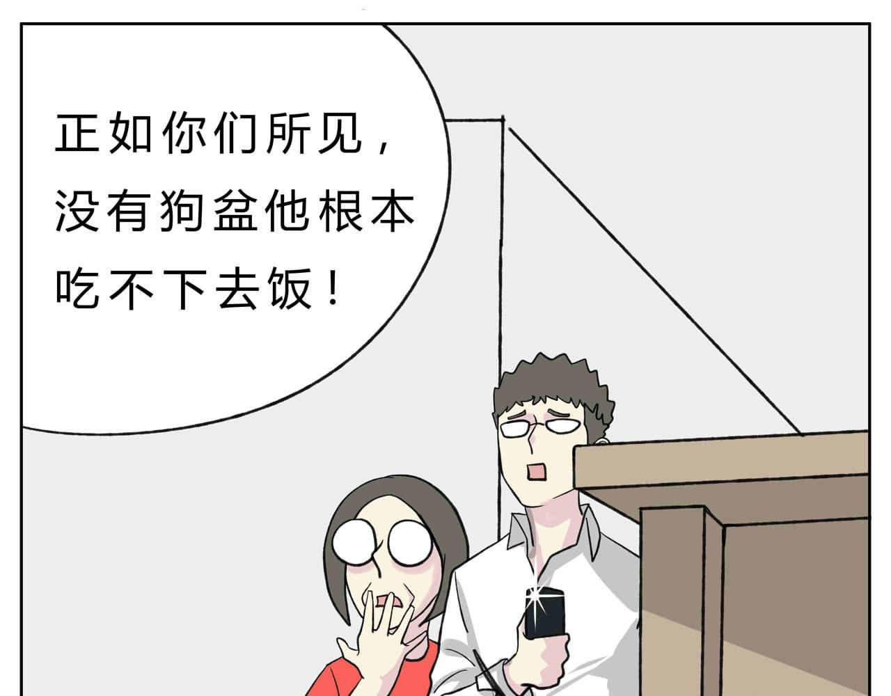 护狗大作战