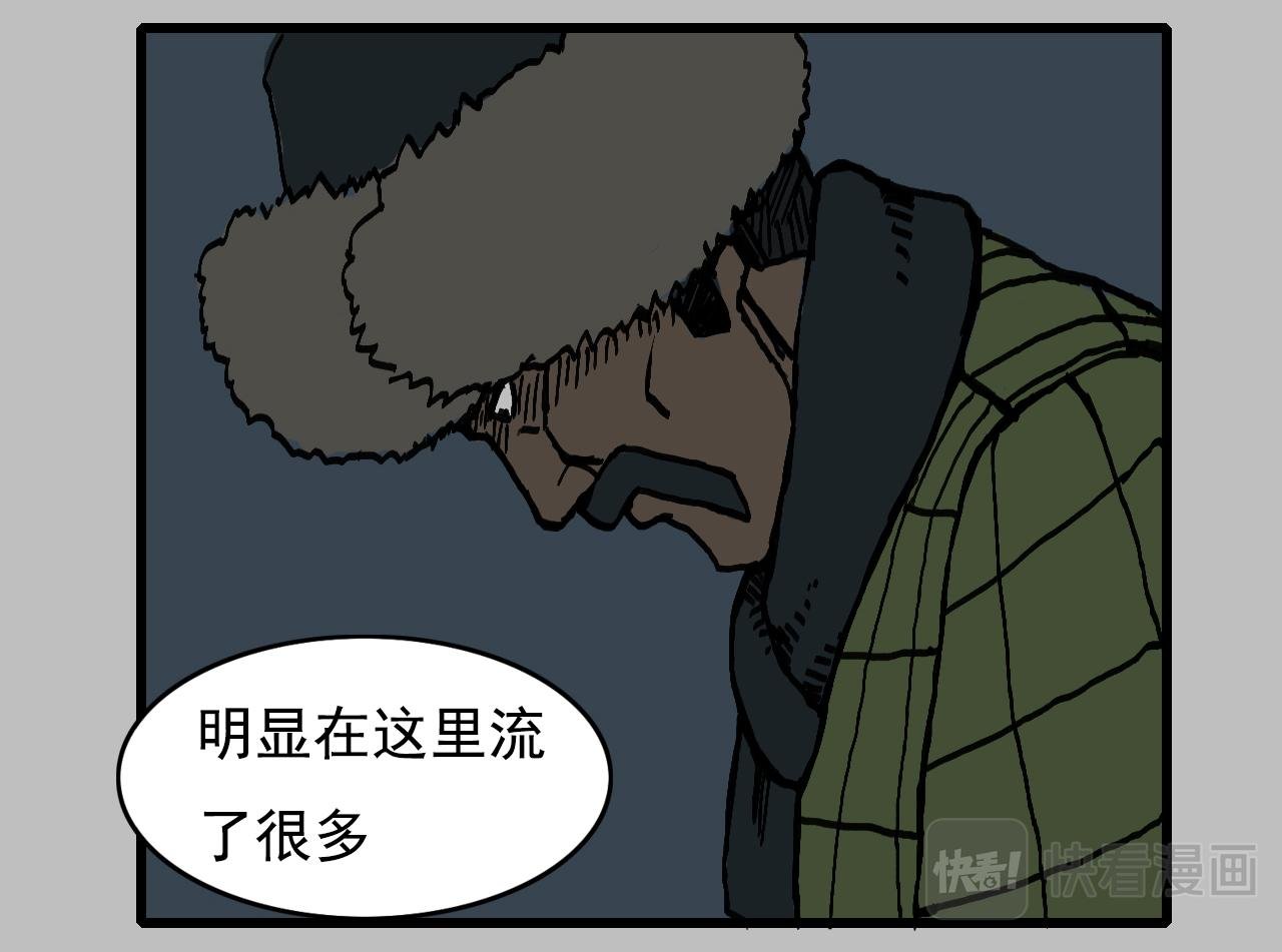 白仙5