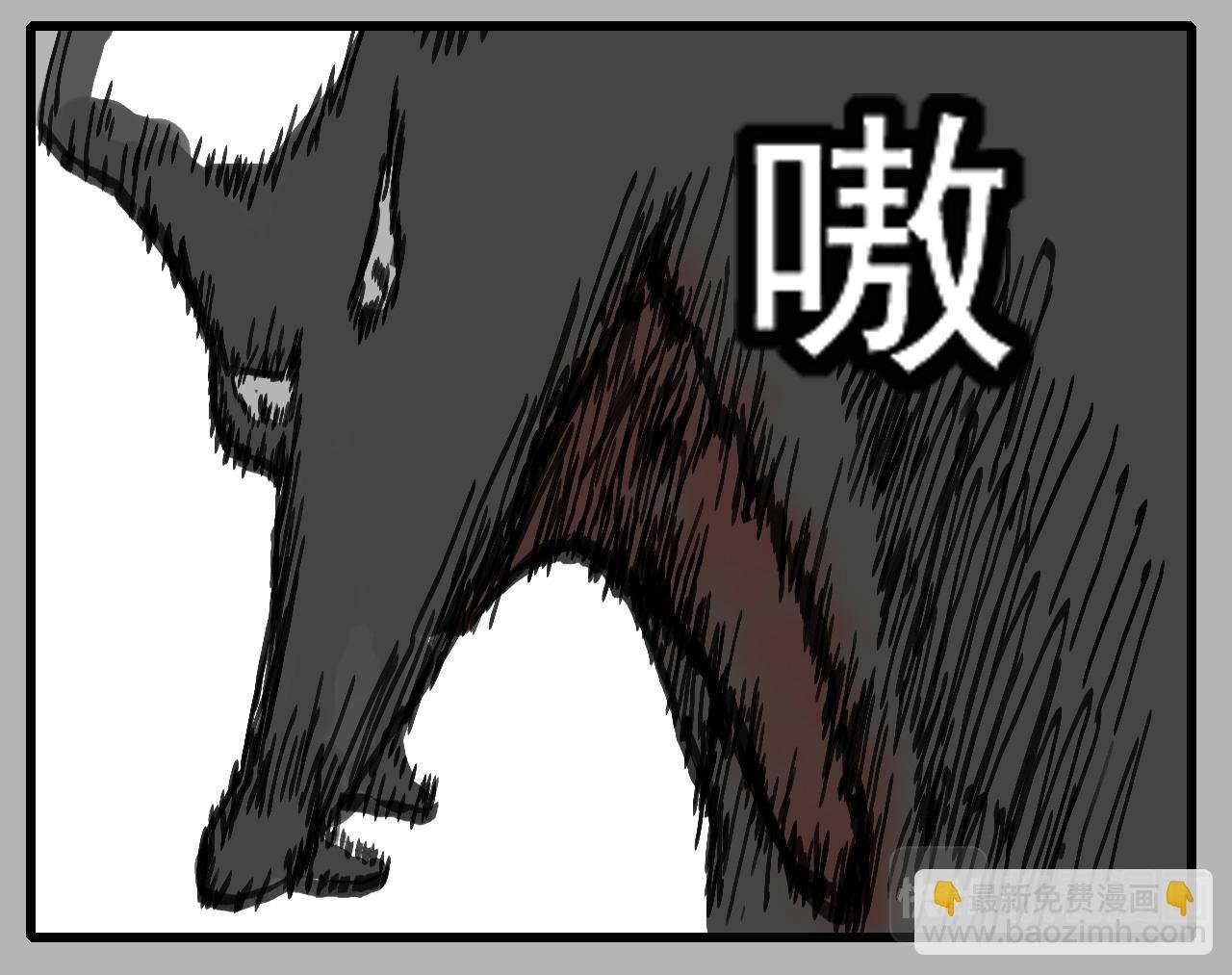 白仙4
