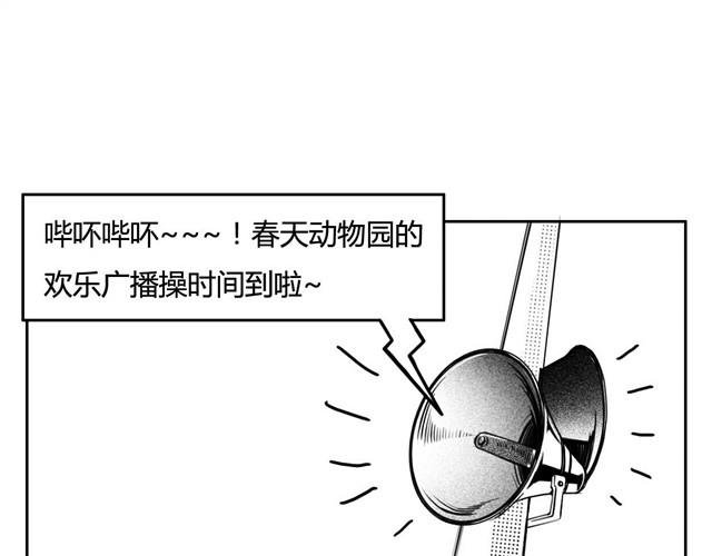第3话 海狗太危险